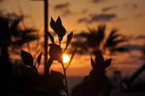 صور لغروب الشمس من شاطئ بحر يافا - تصوير أمير أطرش